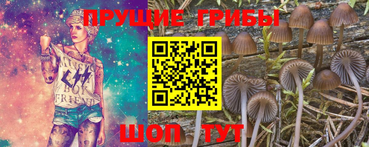 Нурлат  Галлюциногенные грибы ЛСД  Галлюциногенные грибы Magic Shrooms  Вход с VPN 